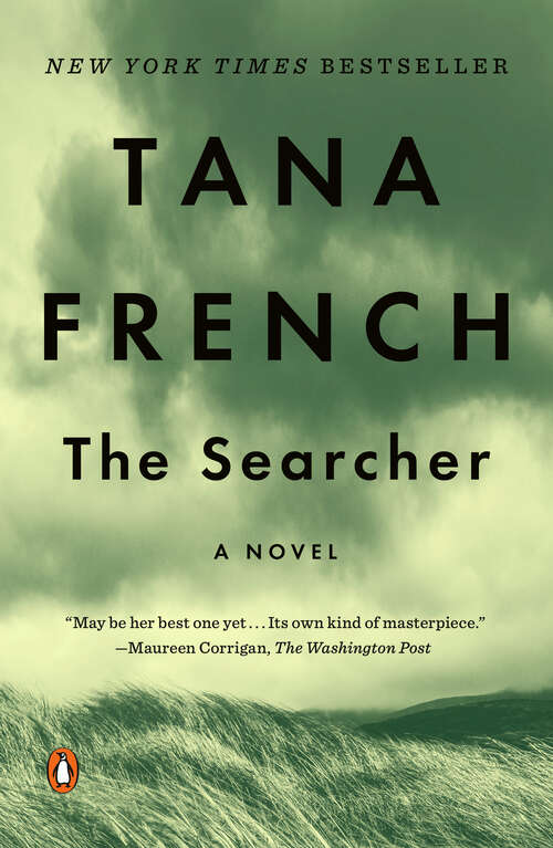 Book cover of The Searcher: A Novel