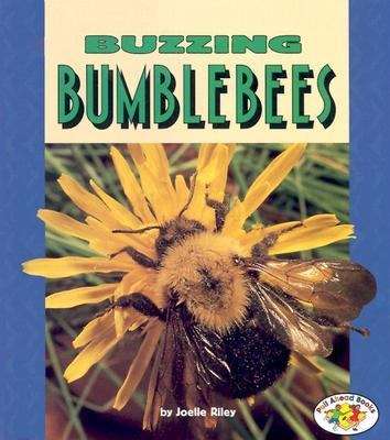 Book cover of Buzzing Bumblebees