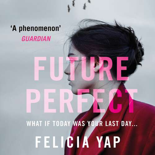 Book cover of Future Perfect: The Most Exciting High-Concept Novel of the Year