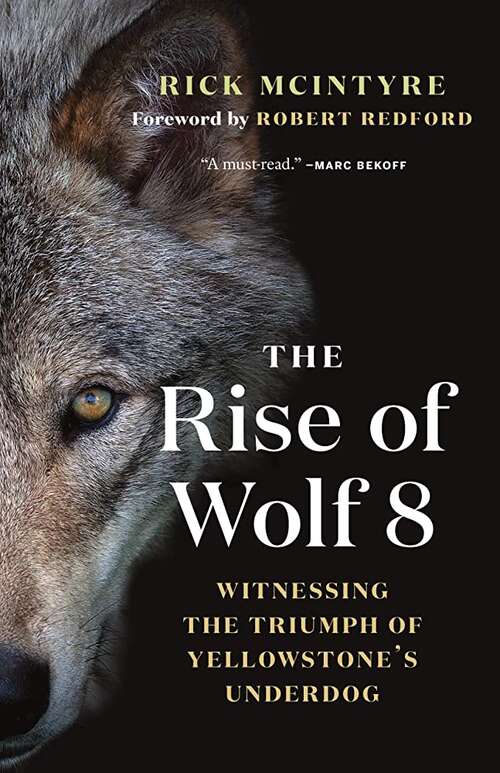 Book cover of The Rise Of Wolf 8: Witnessing The Triumph Of Yellowstone's Underdog