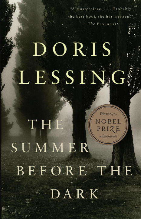 Book cover of The Summer Before the Dark