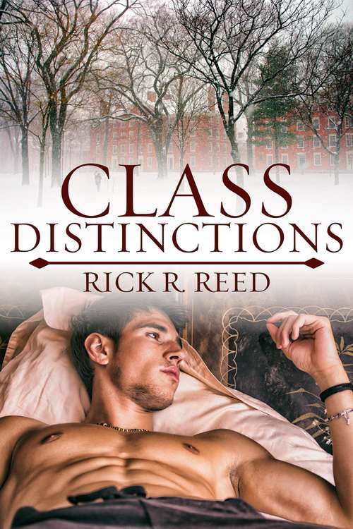 Book cover of Class Distinctions