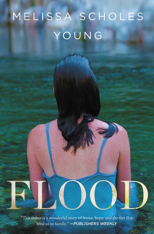 Book cover of Flood: A Novel