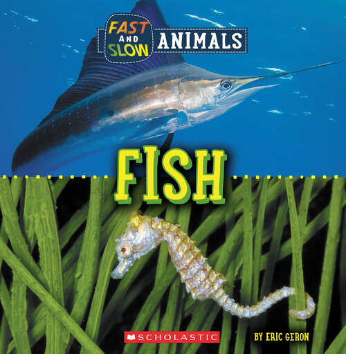 Book cover of Fast and Slow: Fish (Wild World)
