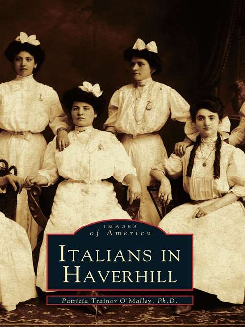 Book cover of Italians in Haverhill