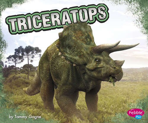 Book cover of Triceratops: A 4d Book (Dinosaurs Ser.)