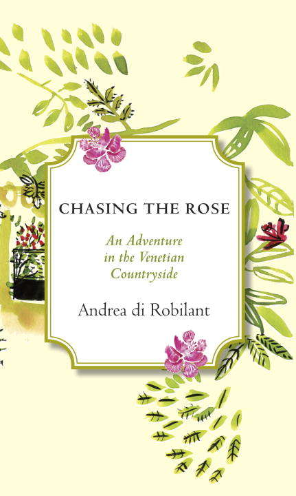 Book cover of Chasing the Rose