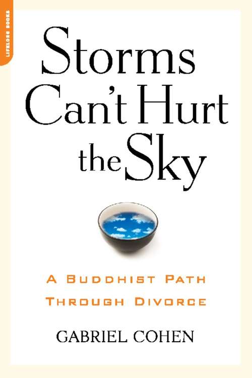 Book cover of The Storms Can't Hurt the Sky