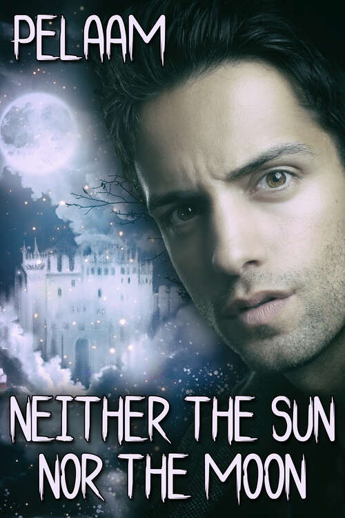 Book cover of Neither the Sun nor the Moon
