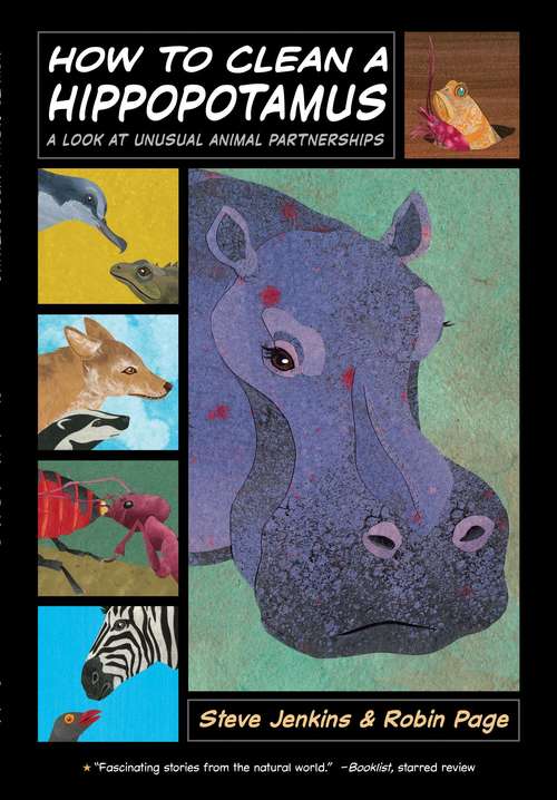Book cover of How to Clean a Hippopotamus: A Look at Unusual Animal Partnerships