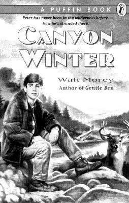 Book cover of Canyon Winter