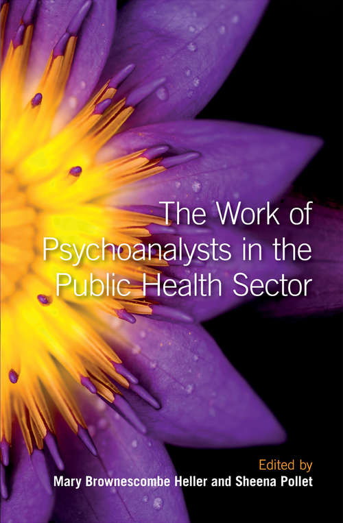 Book cover of The Work of Psychoanalysts in the Public Health Sector