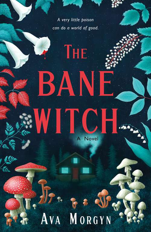 Book cover of The Bane Witch: A Novel