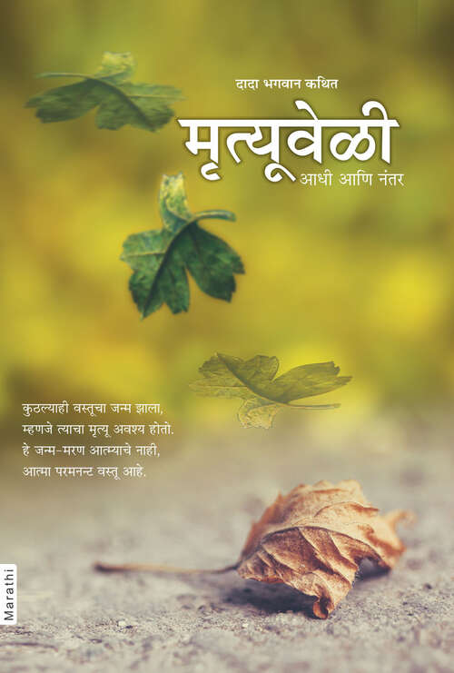 Book cover of Mrutyuveli, Aadhi Ani Nantara: मृत्यूवेळी, आधी आणि नंतर