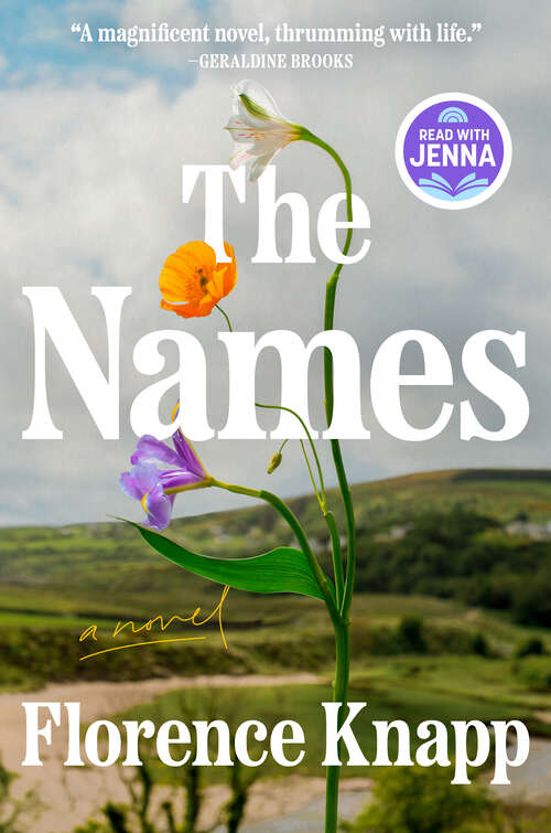 Book cover of The Names: A Novel