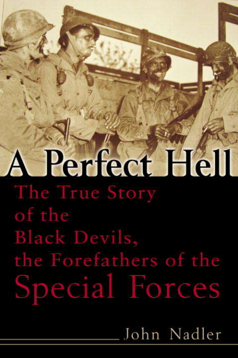 Book cover of A Perfect Hell
