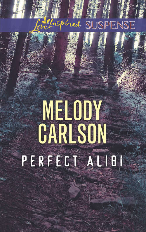 Book cover of Perfect Alibi: Perfect Alibi Submerged Christmas In Hiding