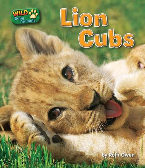 Book cover of Lion Cubs (Wild Baby Animals)