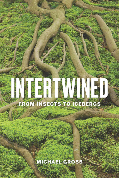 Book cover of Intertwined: From Insects To Icebergs