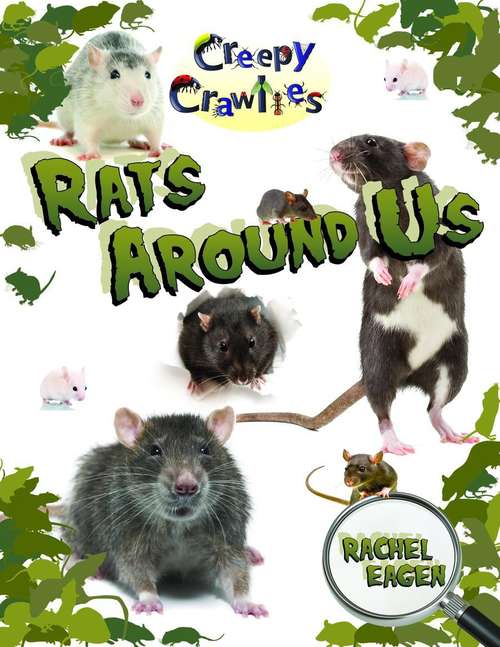 Book cover of Rats Around Us (Creepy Crawlies)