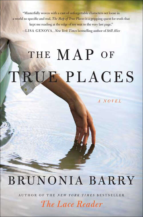 Book cover of The Map of True Places: A Novel