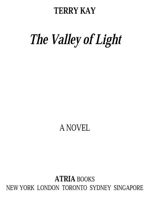 Book cover of The Valley of Light