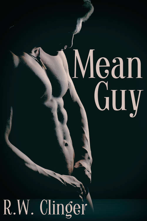 Book cover of Mean Guy