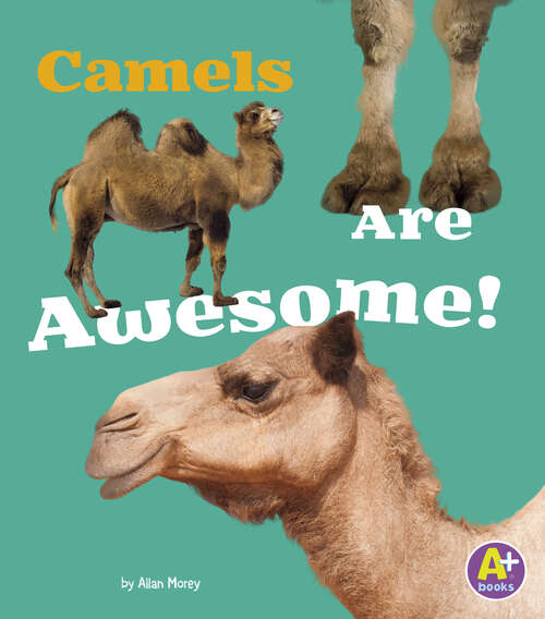 Camels Are Awesome! (Awesome Asian Animals Ser.)