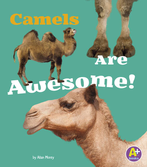 Book cover of Camels Are Awesome! (Awesome Asian Animals Ser.)