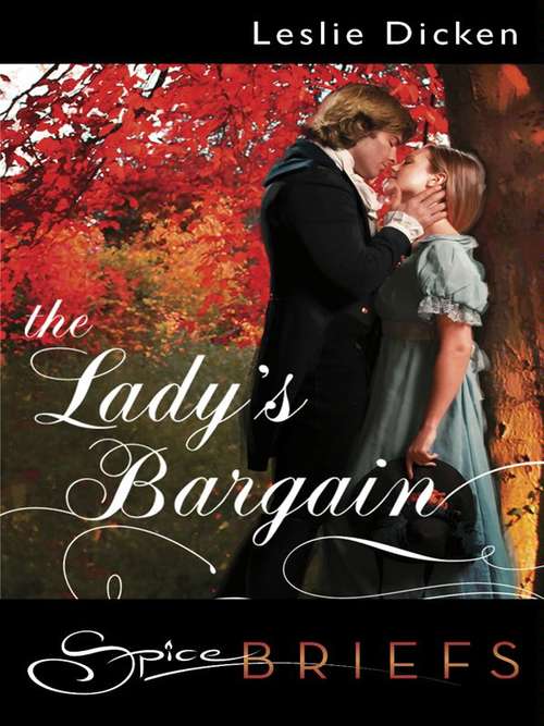 Book cover of The Lady's Bargain