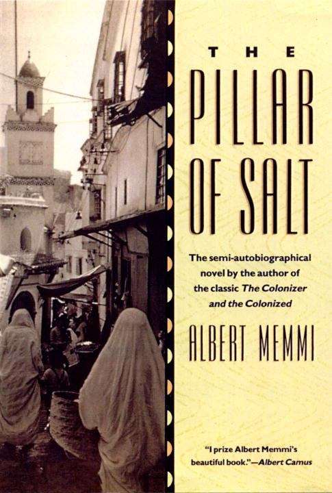 Book cover of The Pillar of Salt (First Edition)