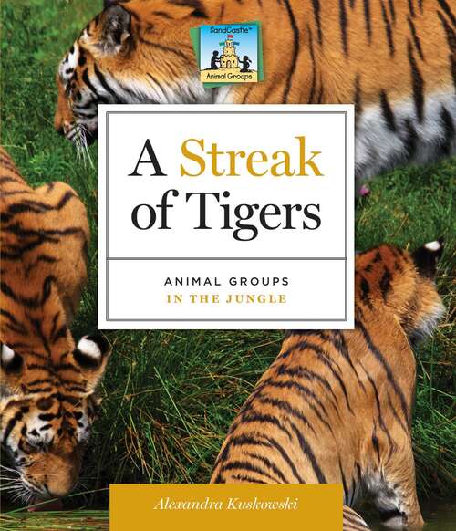 Book cover of A Streak of Tigers: Animal Groups in the Jungle (Animal Groups #5)