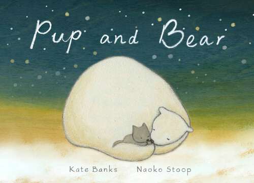 Book cover of Pup and Bear