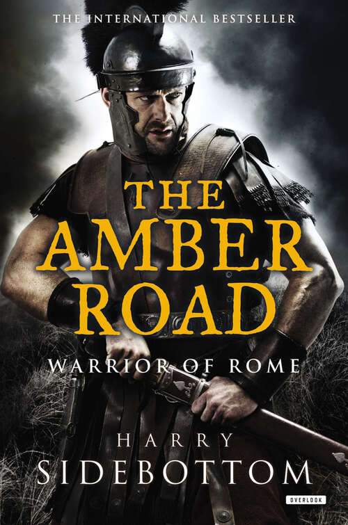 Book cover of The Amber Road