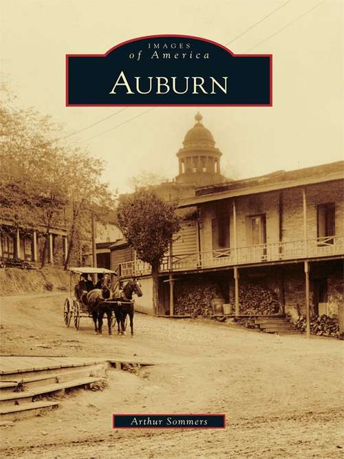 Book cover of Auburn