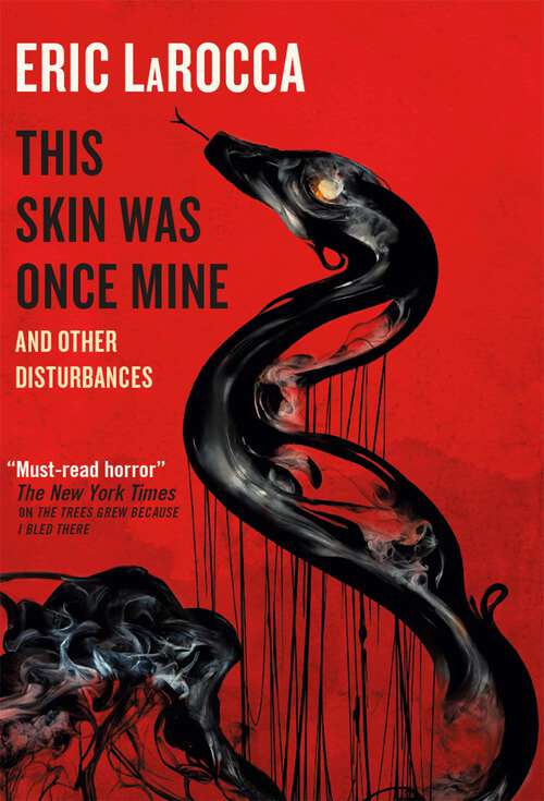 Book cover of This Skin Was Once Mine and Other Disturbances