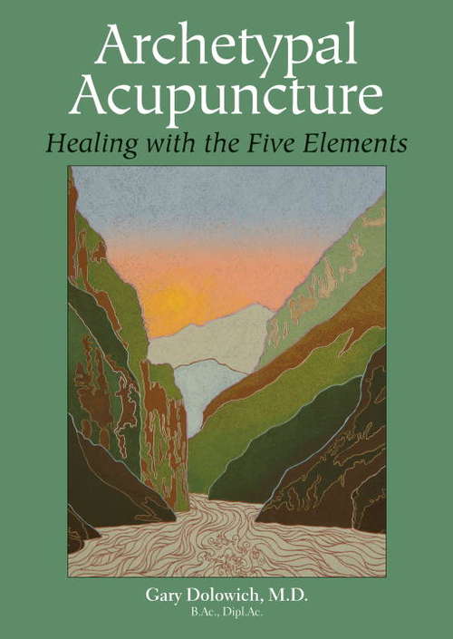 Book cover of Archetypal Acupuncture