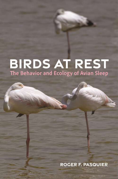 Book cover of Birds at Rest: The Behavior and Ecology of Avian Sleep