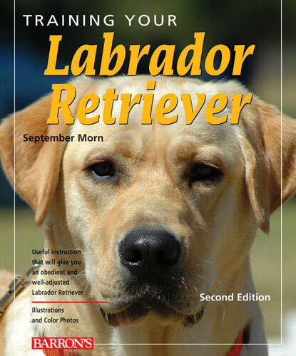 Book cover of Training Your Labrador Retriever (Training Your Dog Series)