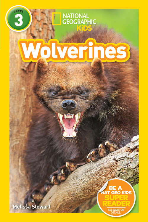 Book cover of Wolverines (Readers)