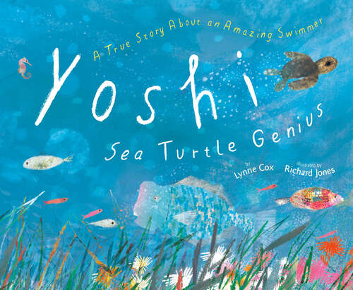 Book cover of Yoshi, Sea Turtle Genius: A True Story about an Amazing Swimmer