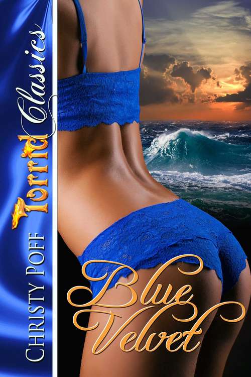 Book cover of Blue Velvet