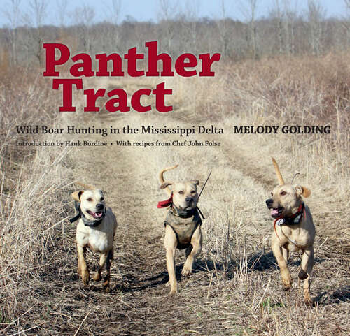 Book cover of Panther Tract: Wild Boar Hunting in the Mississippi Delta (EPUB Single)