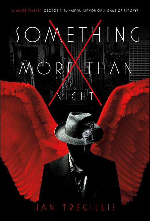 Book cover of Something More Than Night