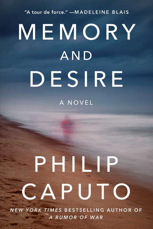 Book cover of Memory and Desire: A Novel