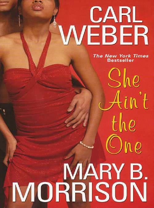 She Ain't The One (A Man's World Series)