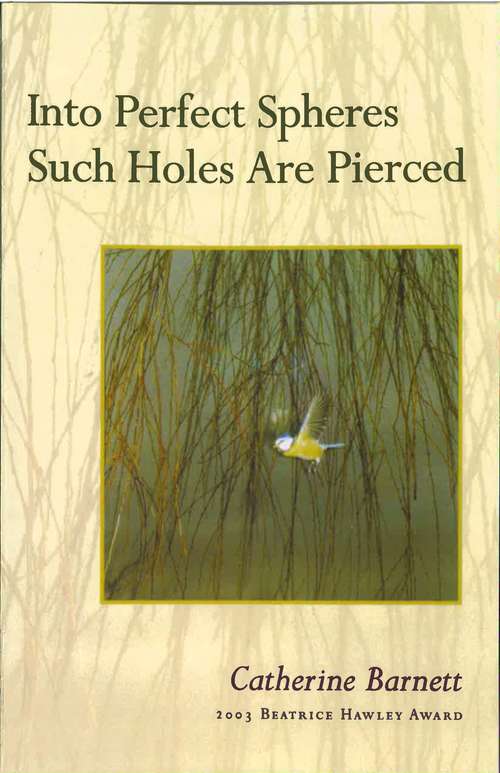 Book cover of Into Perfect Spheres Such Holes Are Pierced