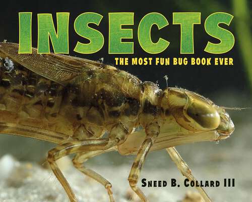 Book cover of Insects: The Most Fun Bug Book Ever