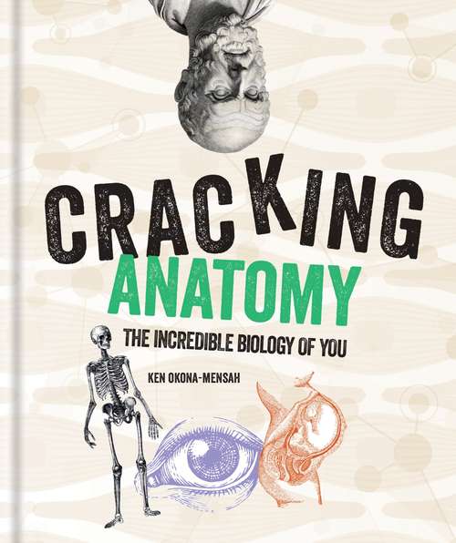 Book cover of Cracking Anatomy (Cracking Series)