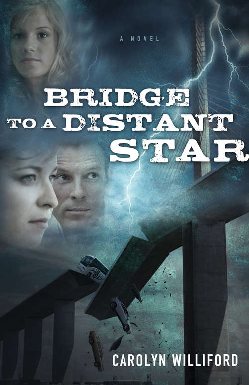 Book cover of Bridge to a Distant Star